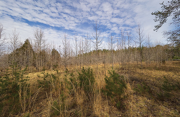 Proposed solar site in MD